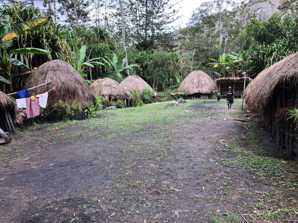Reise in West Papua In Indonesien. Die Dächer der Hütten eines Dorfes im Urwald werden von Stroh bedeckt, die Strassen werden von Waldboden gebildet, es gibt einige Feuerstellen.