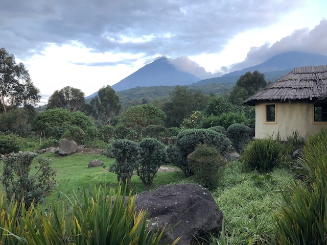 Reise in Uganda in Afrika. Aussicht von der Mount Gahinga Lodge aus auf einen Bungalow, üppige Natur, und den Mount Gahinga Vulkanberg.