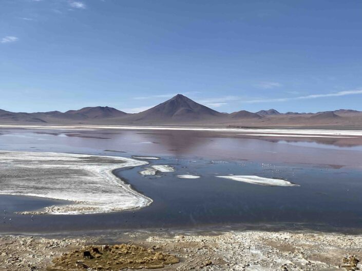 Reise in Bolivien in Südamerika. Die Laguna Colorada prägt das Hochland Altiplano, im Hintergrund ragen die Anden empor.