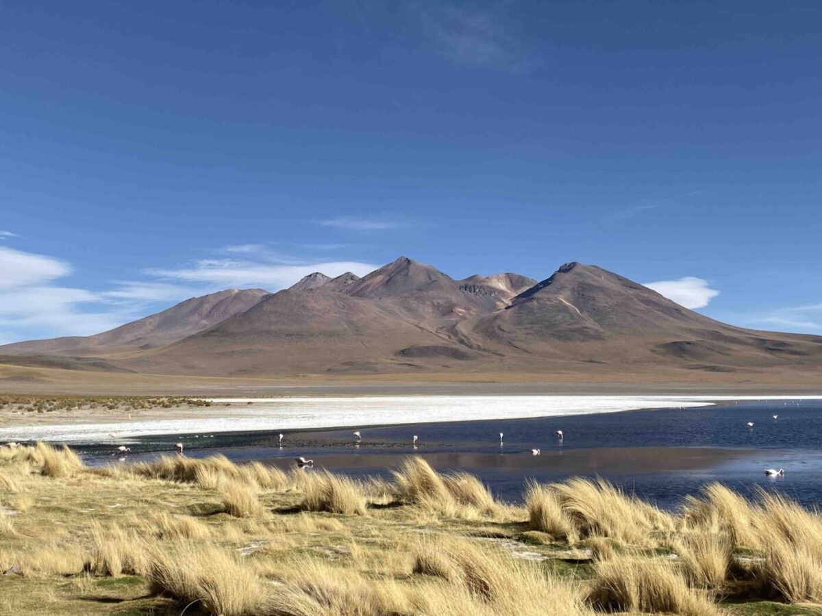 Reise in Bolivien in Südamerika. Die Laguna Colorada prägt das Hochland Altiplano, Flamingos tummeln sich darin, im Hintergrund ragen die Anden empor.