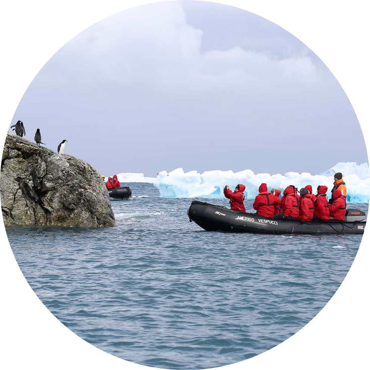 Reise in der Antarktis. Auf einem Schlauchboot des Expeditions Kreuzfahrtschiffes MS Hanseatic von Hapag Lloyd Cruises stehen einige in rote Windjacken eingemummelte Passagiere und beobachten kleine Pinguine auf einem Stein.