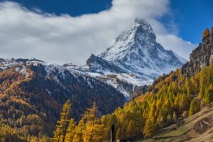 Reise in der Schweiz in Europa. Blick auf das schneebedeckte Matterhorn in Zermatt, davor liegen herbstliche Nadelwälder.