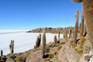 Steininsel mit Kakteen mitten in der Salzwüste Salar de Uyuni