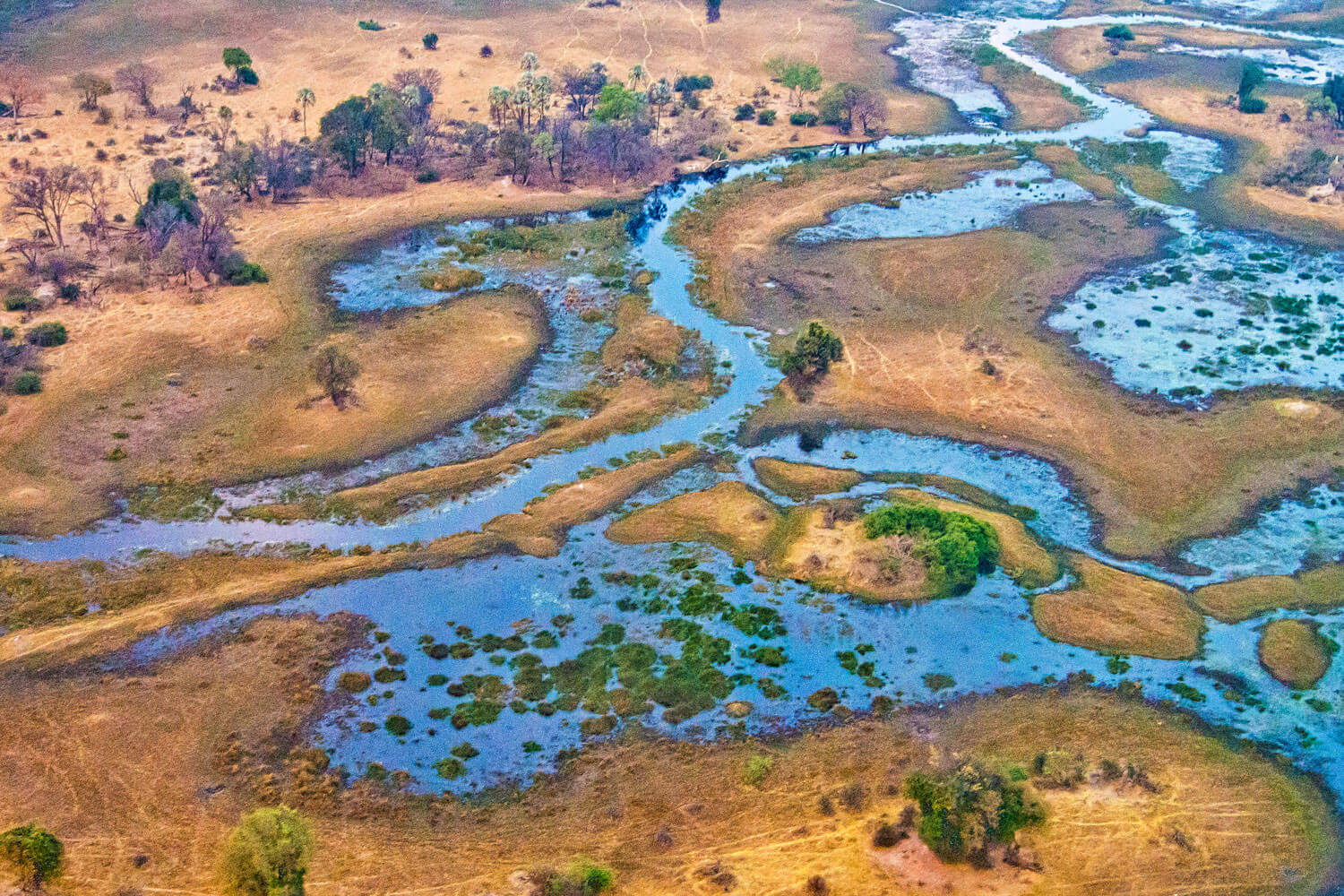 Luftaufnahme von Flusslandschaft im Okavango Delta