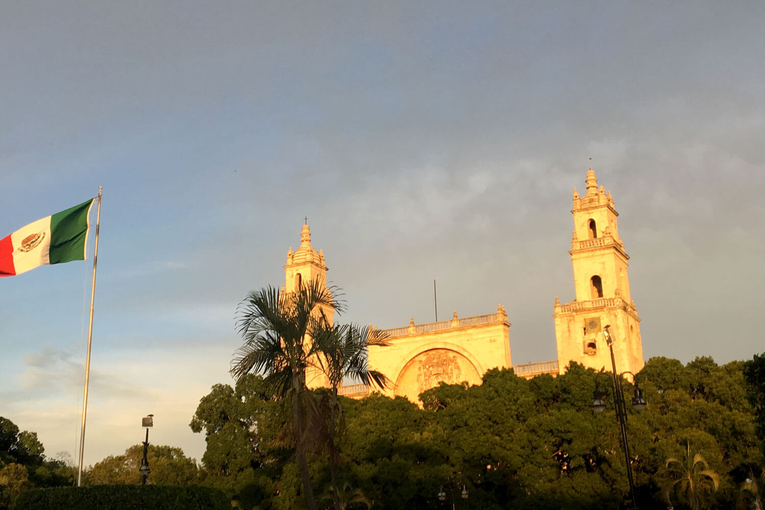 Kathedrale versteckt hinter Bäumen neben Mexikanischer Flagge